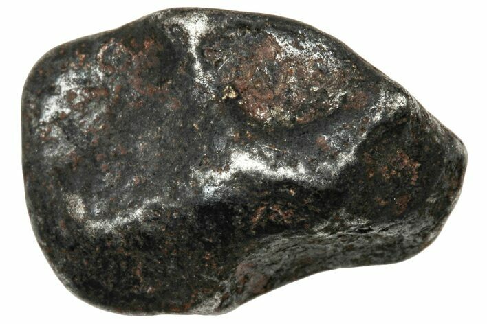 Agoudal Iron Meteorite ( g) - Morocco #303902